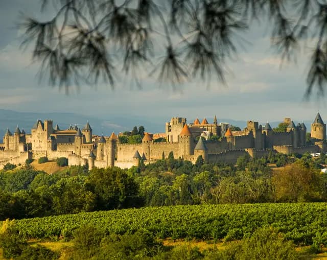 Carcassonne fort