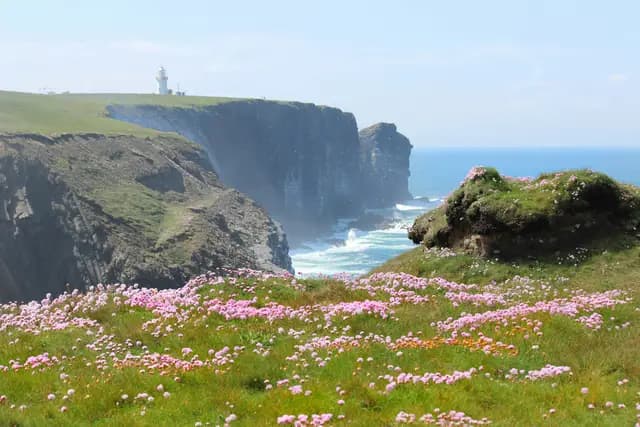 Ireland