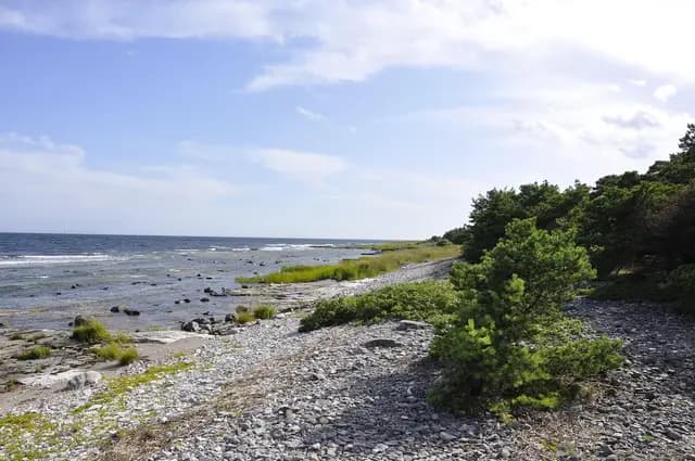 pebble beach, gotland, nature, water (foto: Macla)