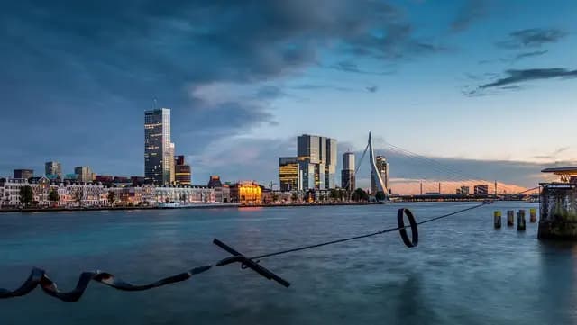 rotterdam, maastoren, erasmus bridge, clothesline, nature, skyline, view, bridge, sunset, mesh (foto: derooijfotografie)