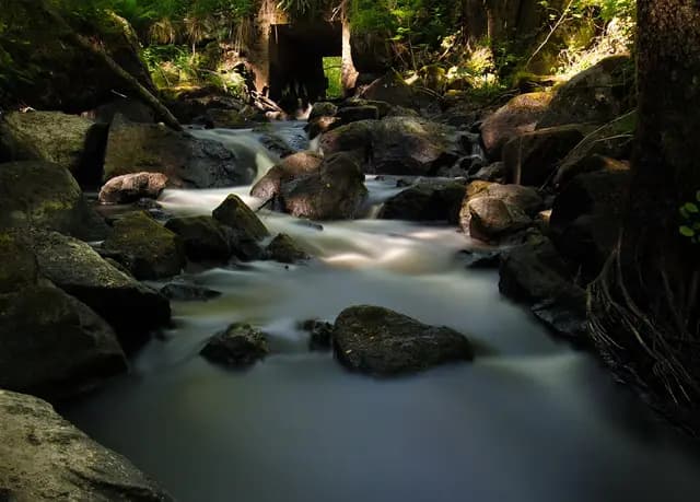 water, rapids, summer, sweden, water courses, forest, nature, river, småland, sweden, sweden, sweden, sweden, nature, river, river, river, river, river, småland (foto: nilsgh)