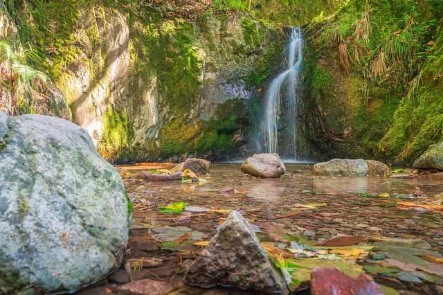 waterfall, black forest, river, nature, forest, stones, ottenhofen im schwarzwald, germany (foto: Markus_KF)